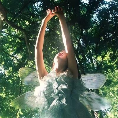 洛杉矶捣蛋计划