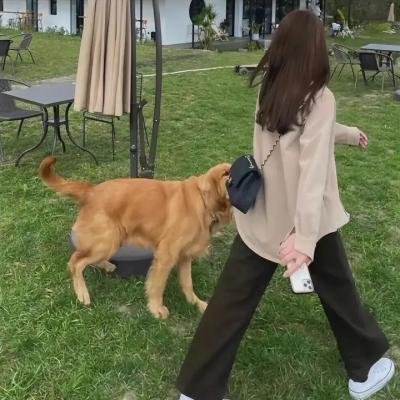 摩登女婿 封面